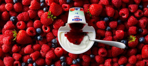 Fage Greek Yogurt Case of 12 Multiple Varieties