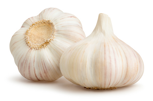 Case of Garlic