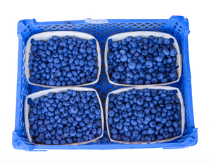 Case of Blueberries